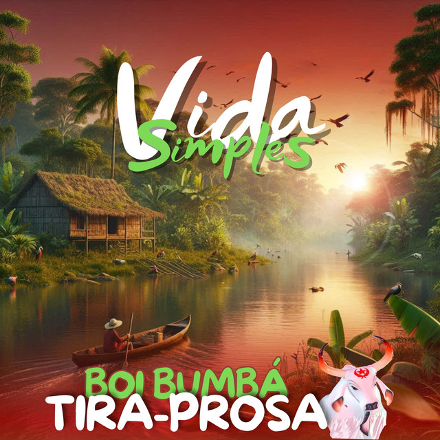 Vida Simples cover art