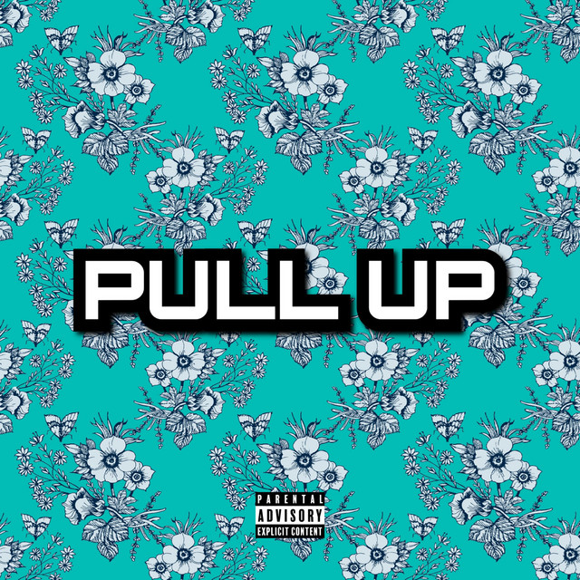 PULL UP - Single by Juna Shawty | Spotify
