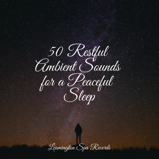 50 Restful Ambient Sounds for a Peaceful Sleep - Album by Sonidos De ...