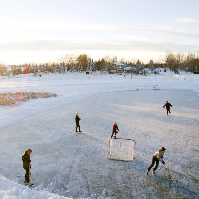 Icing cover