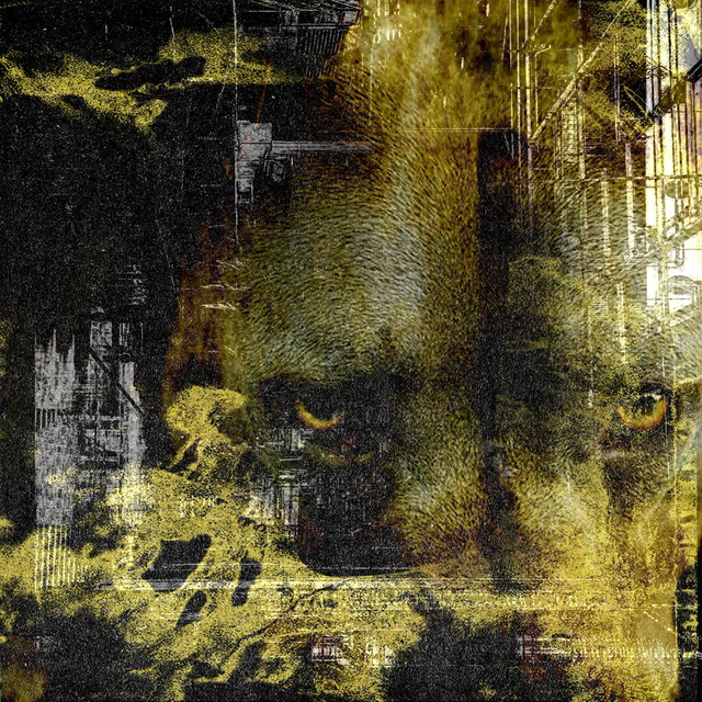 Stray dogs dread cover art