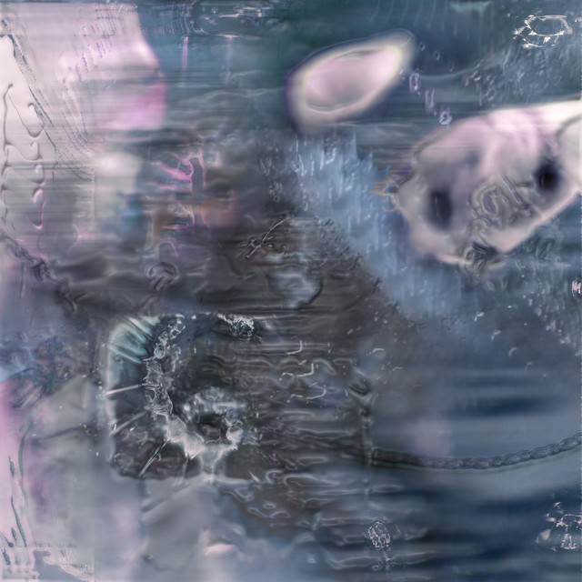 Forest Whispers cover art