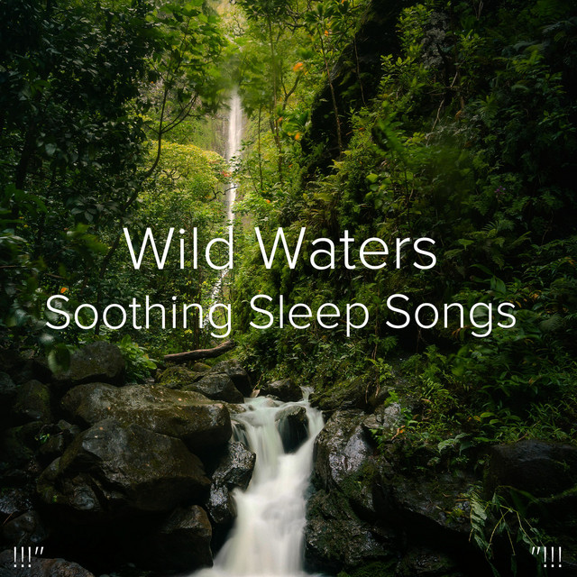 !!!"Wild Waters Soothing Sleep Songs"!!! cover art