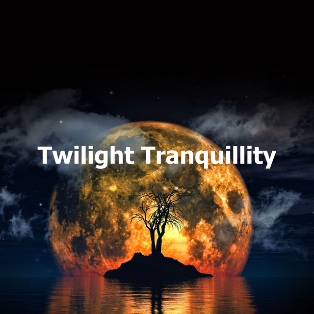 Twilight Tranquillity cover art