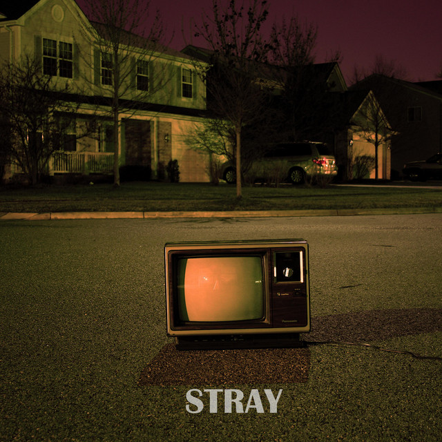 Stray cover art
