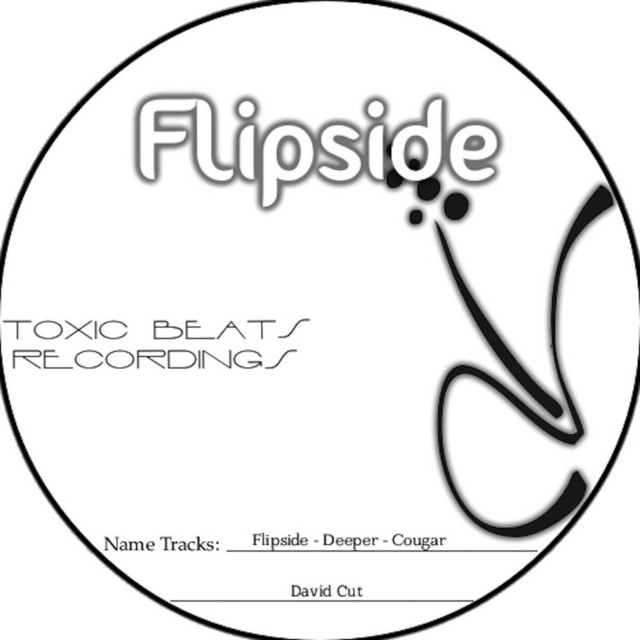 Flipside cover art