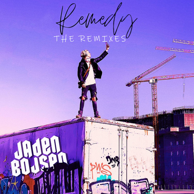 Remedy - The Remix cover art