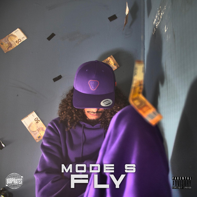Fly cover art