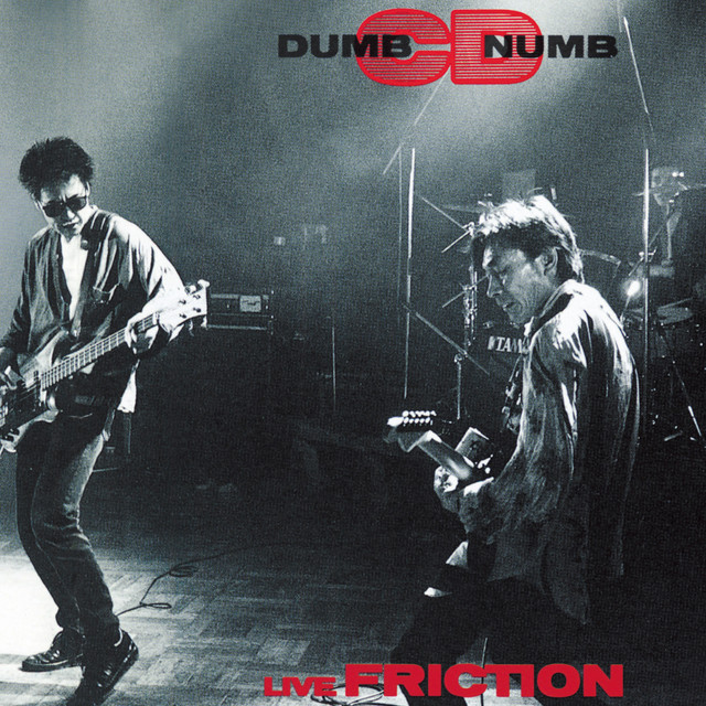 DUMB NUMB CD cover art