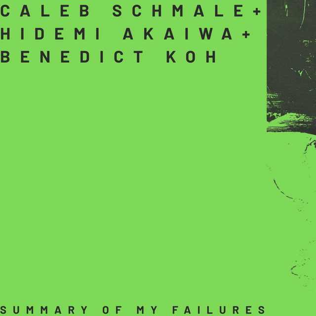 SUMMARY OF MY FAILURES
