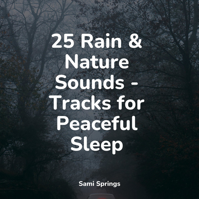 25 Rain & Nature Sounds - Tracks for Peaceful Sleep - Album by Sound of ...