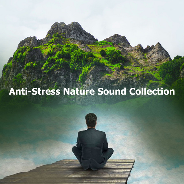Anti-Stress Nature Sound Collection - Album by Sons Da Natureza | Spotify