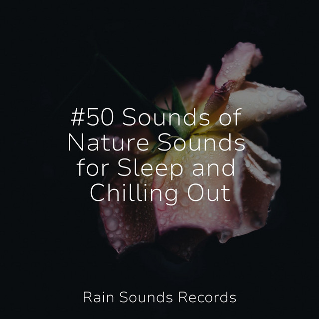 #50 Sounds of Nature Sounds for Sleep and Chilling Out cover art