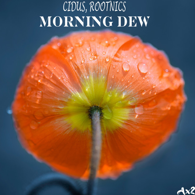 Morning Dew
