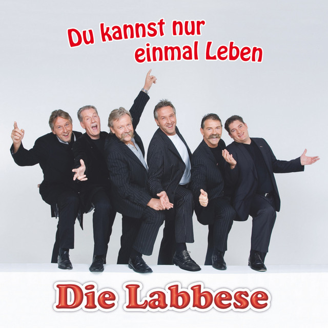 Du kannst nur einmal leben cover