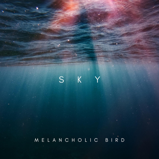 Обкладинка: Sky — Melancholic Bird