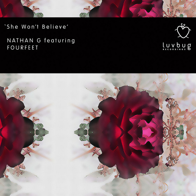 She Won't Believe (feat. Fourfeet) - Nathan G Luvbug Vocal cover art