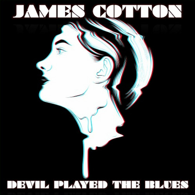 Devil Played The Blues cover art