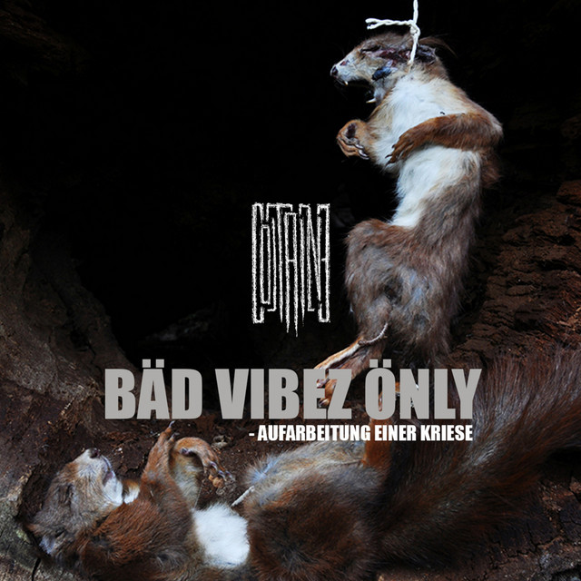 Bäd Vibez Önly - Aufarbeitung einer Krise cover art