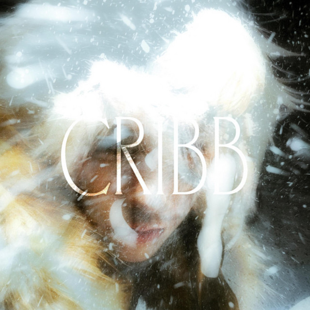 CRIBB album image