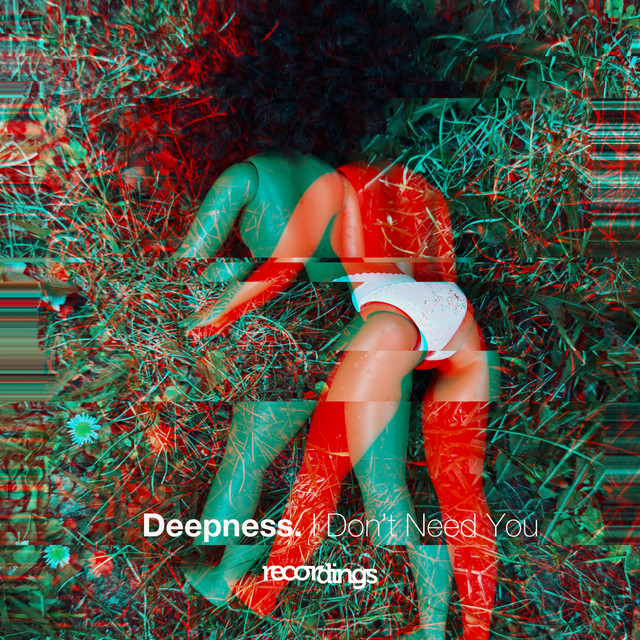 I Don't Need You album art