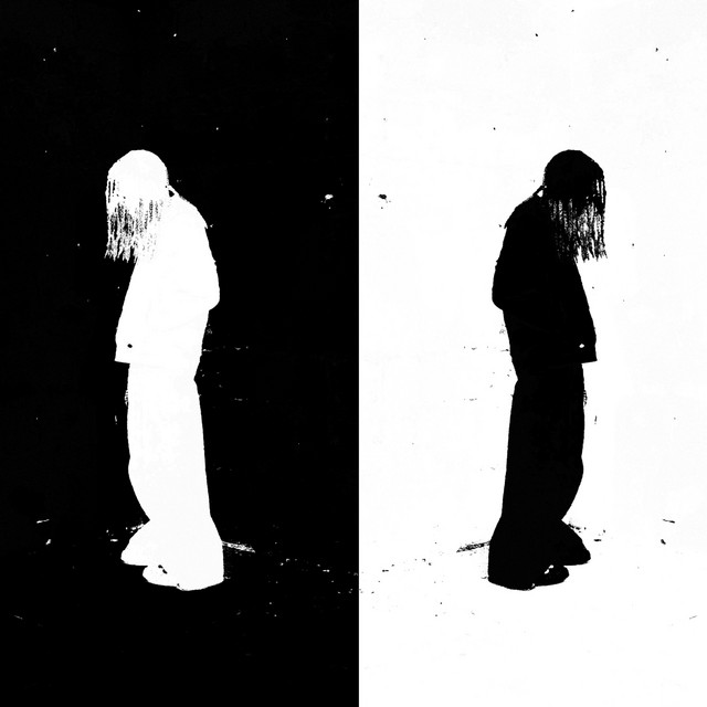 DISCIPLINED NARCISSISM cover art