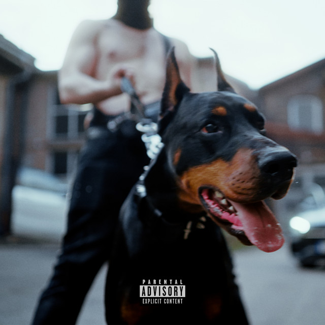 1-2 FEKVŐ cover art
