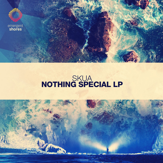 Nothing Special cover art