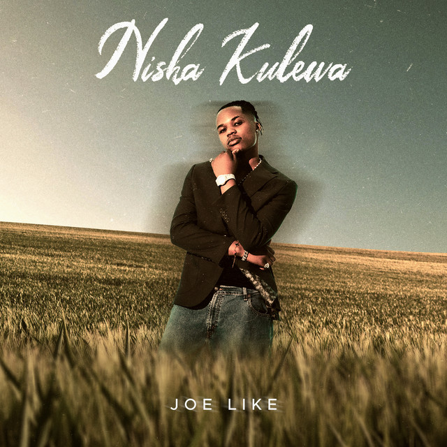 Nisha Kulewa cover art