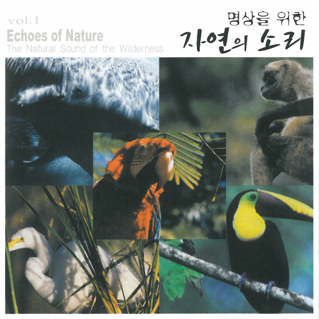 멜론 음악 이미지