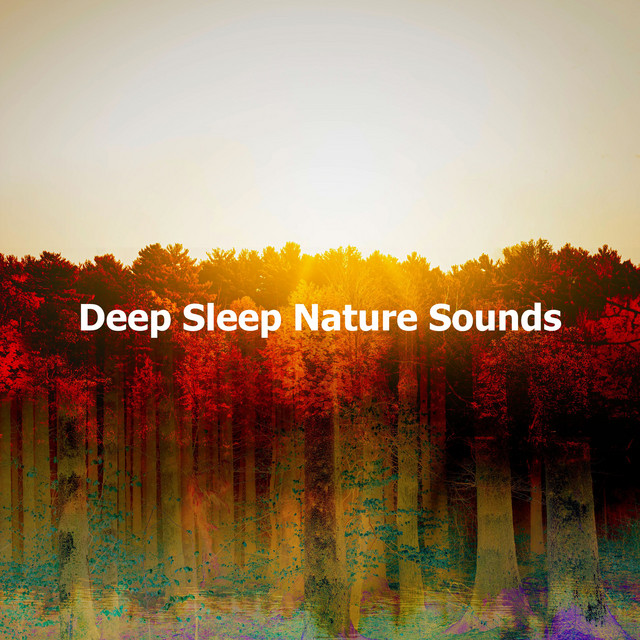 Deep Sleep Nature Sounds ! ! ! - Album by Deep Sleep Nature Sounds ...