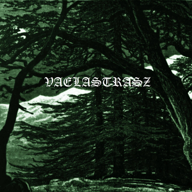 Warmth in Solitude cover art