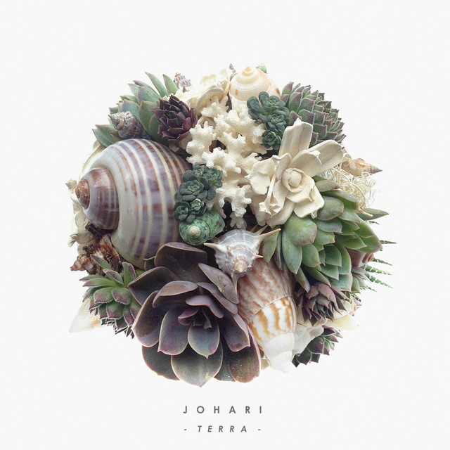 Terra cover art