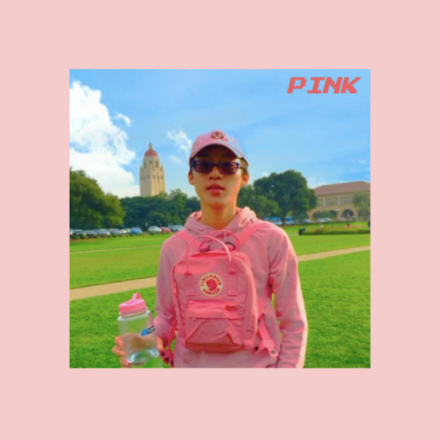 PINK cover art