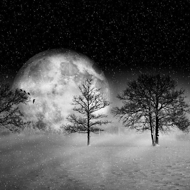 Snowflakes (Instrumental)