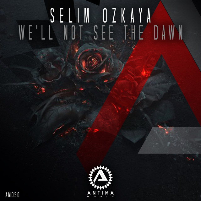 We'll Not See the Dawn - Extended Mix album art