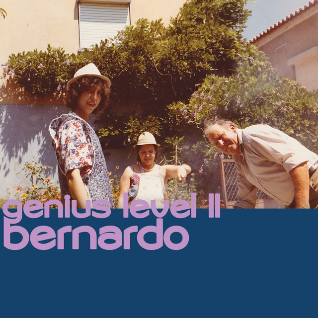 Genius Level II - Single by Bernardo | Spotify
