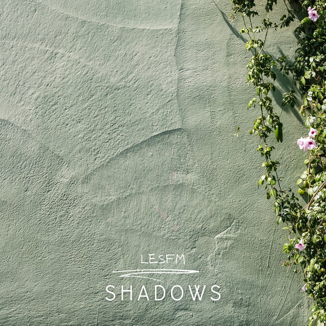 Обкладинка: Shadows — Lesfm