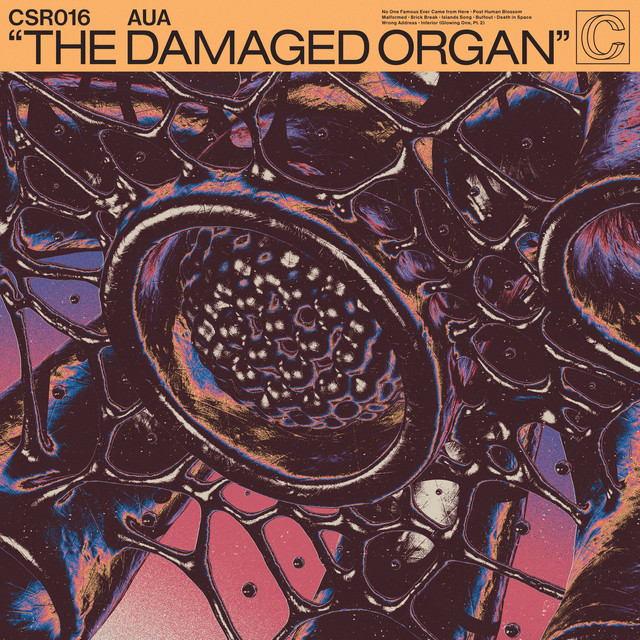 The Damaged Organ cover art