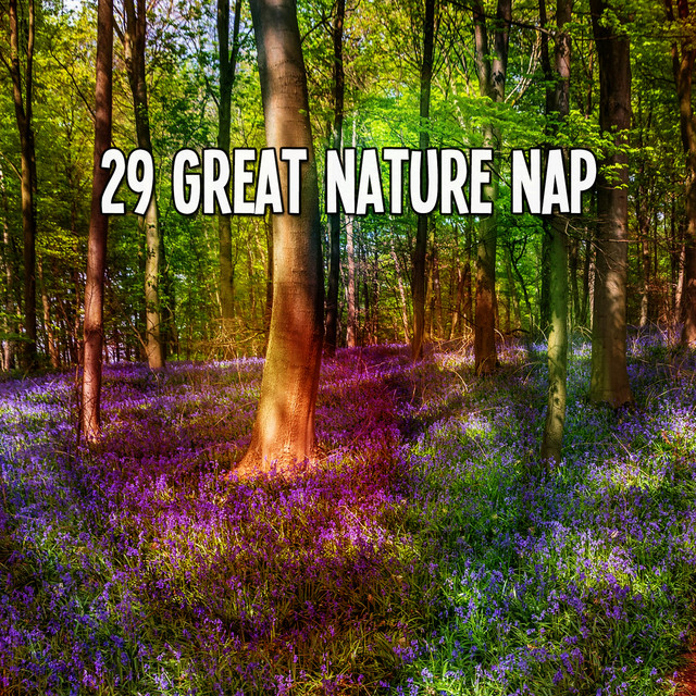 29 Great Nature Nap - Album by Nature Sounds Nature Music | Spotify