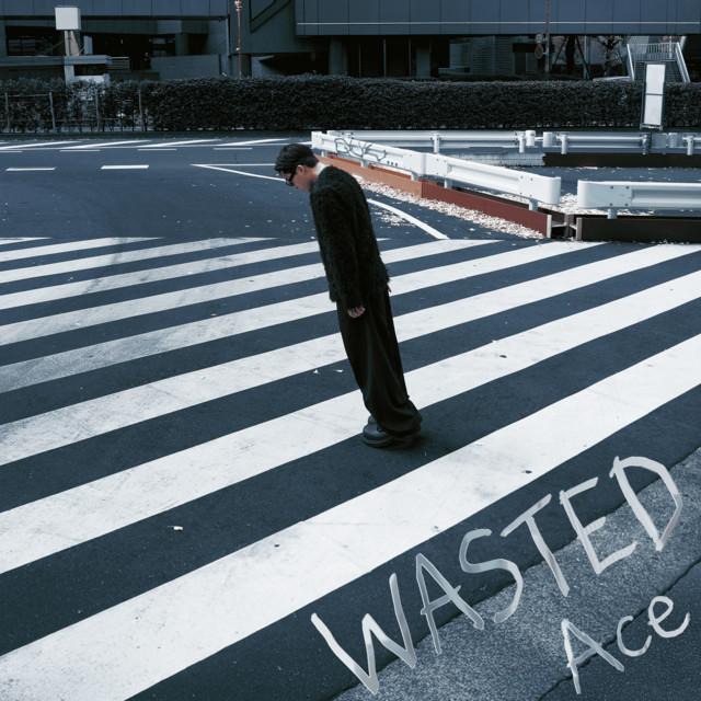 WASTED cover art