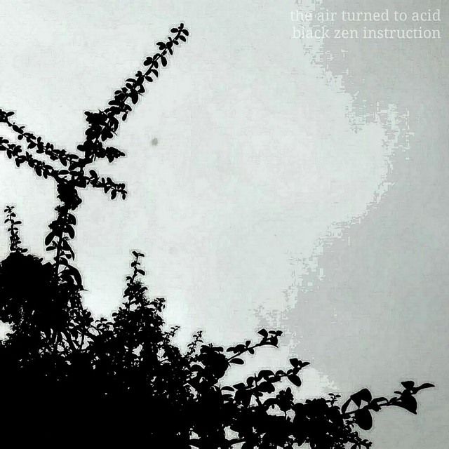 Black Zen Instruction cover art