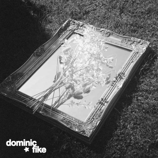 dominic fike cover art