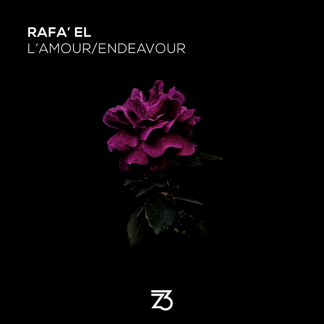 L'amour - Extended Mix album art