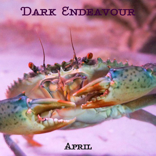 Dark Endeavour cover art