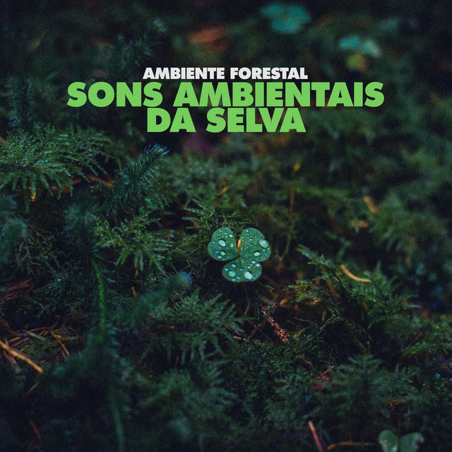 Sons Ambientais da Selva cover art
