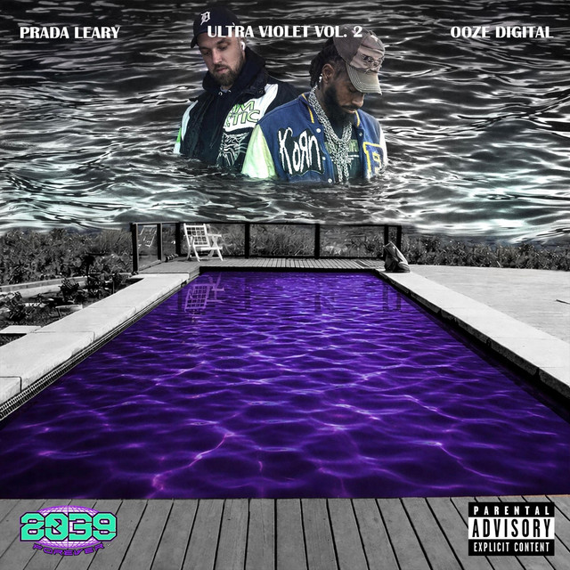 Ultra Violet, Vol. 2 cover art