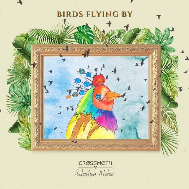 Crossmoth, Sebastian Mohor – birds flying by (out of lofi dimension)