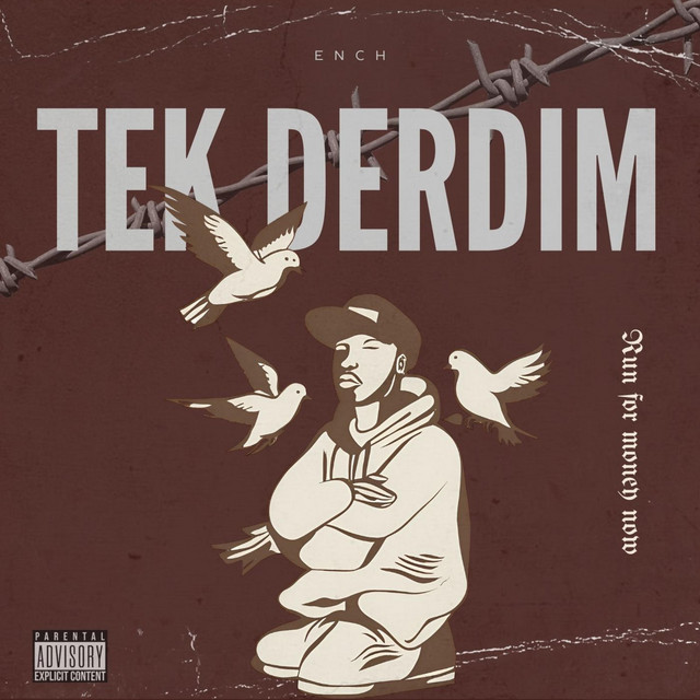 TEK DERDİM cover art