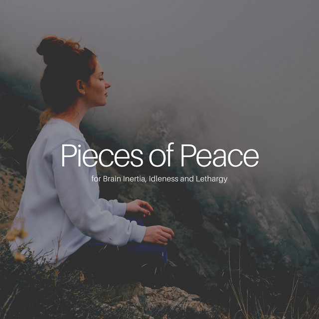 * Pieces of Peace for Brain Inertia, Idleness and Lethargy * cover art